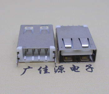 三乡镇USB AF立式 直插 加长款17.5MM 大电流3A插座