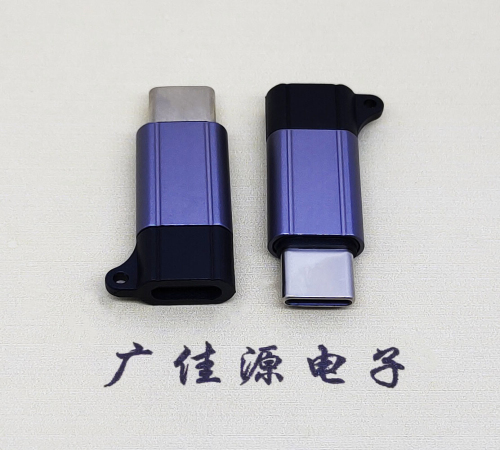 三乡镇Type-C母转Type-C公 USB3.1 PD100W快冲接口